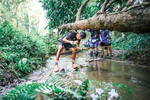 BIB: 
                            <button type="button" onclick="openModal(25478255)" class="btn btn-primary btn-sm float-right btn-popup" data-toggle="modal" data-target=".modal-high-quality">
                        <i class="fas fa-shopping-cart"></i> Add to Cart
                    </button>
                                            <button type="button" onclick="isThisMe(25478255, true)" class="btn btn-success btn-sm float-right btn-popup btn-isme hidden" data-toggle="tooltip" data-placement="bottom" title="นี่คือรูปของคุณใช่ไหม คลิกที่นี่เพื่อเอาเข้าอัลบั้ม">
                        <i class="fas fa-plus"></i> Add to album
                    </button>
                    <button type="button" onclick="isThisMe(25478255, false)" class="btn btn-warning btn-sm float-right btn-popup btn-isnotme hidden">
                        <i class="fas fa-ban"></i> Remove from album
                    </button>